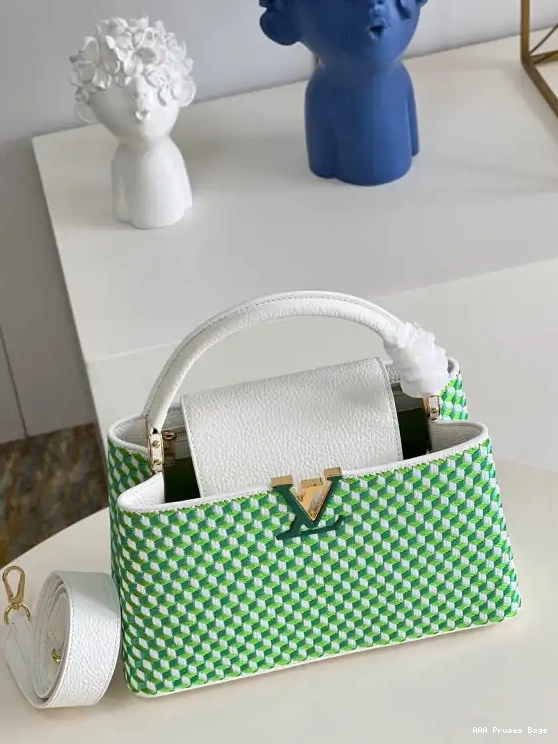 AAA Pruses Bags MM LOUIS VUITTON CAPUCINES 0607